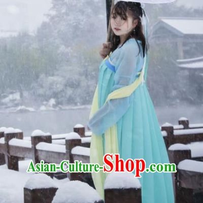 Traditional Asian Oriental China Costume Embroidery Palace Lady Clothing, Chinese Hanfu Tang Dynasty Princess Embroidered Dress for Women