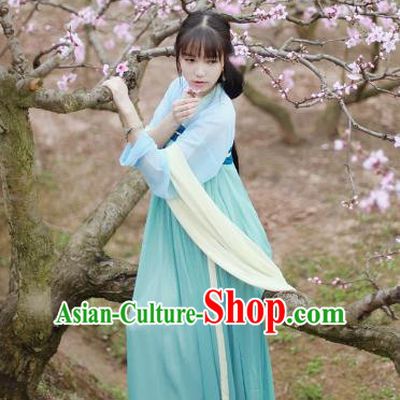Traditional Ancient Chinese Tang Dynasty Palace Lady Costume, Elegant Hanfu Clothing Chinese Fairy Dress Princess Clothing