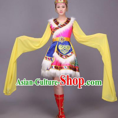 Chinese Traditional Zang Nationality Dance Costume Tibetan Minority Folk Dance Dress for Women