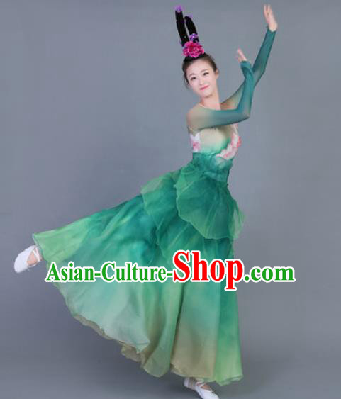 Traditional Chinese Fan Dance Folk Dance Costume Classical Yangko Dance Classical Dance Dress