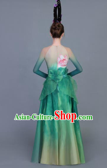 Traditional Chinese Fan Dance Folk Dance Costume Classical Yangko Dance Classical Dance Dress