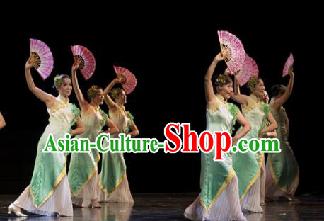 Traditional Chinese Fan Dance Folk Dance Costume Classical Yangko Dance Classical Dance Dress