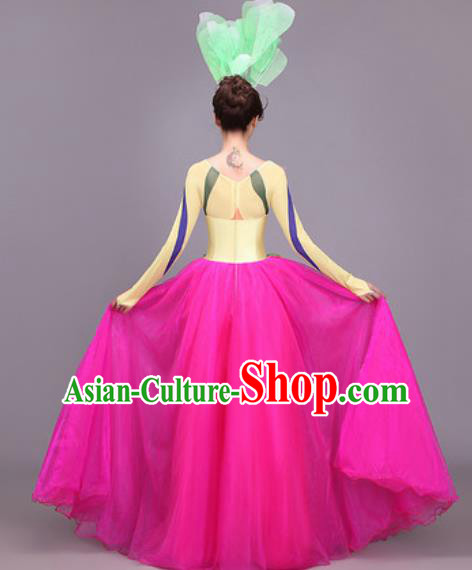 Traditional Chinese Fan Dance Folk Dance Costume Classical Yangko Dance Classical Dance Dress