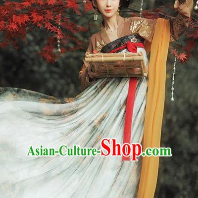 Chinese Traditional Tang Dynasty Imperial Concubine Historical Costumes Ancient Peri Hanfu Dress for Women