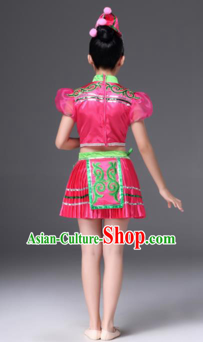 Traditional Chinese Fan Dance Folk Dance Costume Classical Yangko Dance Classical Dance Dress