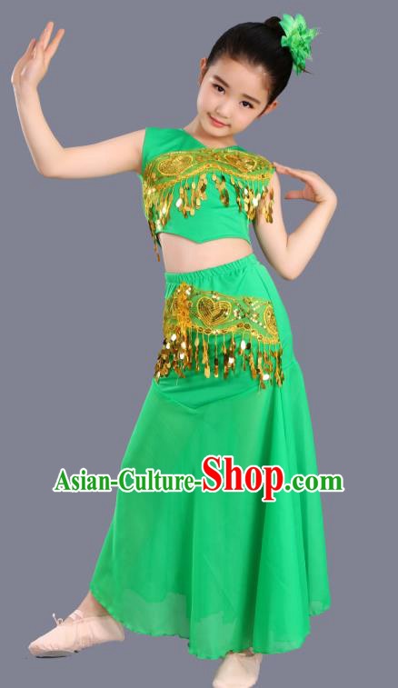Traditional Chinese Fan Dance Folk Dance Costume Classical Yangko Dance Classical Dance Dress
