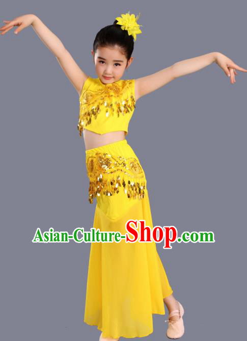 Traditional Chinese Fan Dance Folk Dance Costume Classical Yangko Dance Classical Dance Dress