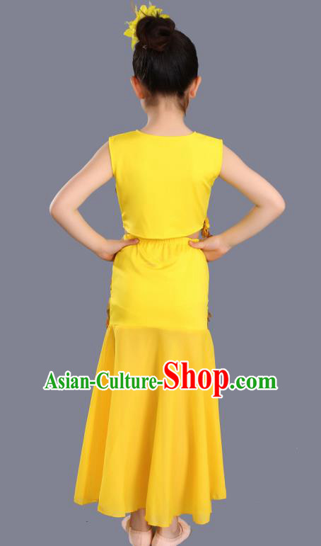 Traditional Chinese Fan Dance Folk Dance Costume Classical Yangko Dance Classical Dance Dress