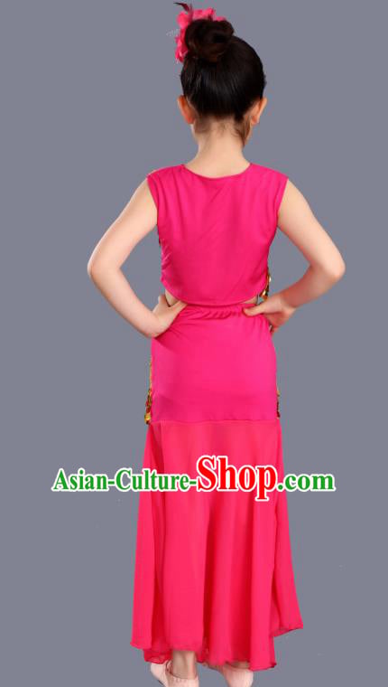 Traditional Chinese Fan Dance Folk Dance Costume Classical Yangko Dance Classical Dance Dress