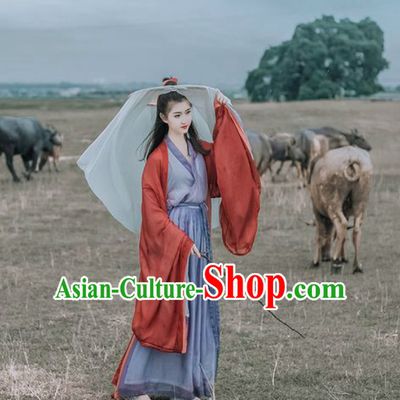 Traditional Ancient Chinese Swordswoman Costume Han Zhuang Hanfu Clothing