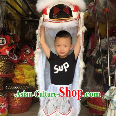 Traditional Chinese One Kid One Child Lion Dance Costume