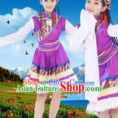 Chinese Traditional Zang Minority Purple Dress Tibetan Ethnic Folk Dance Costumes for Women
