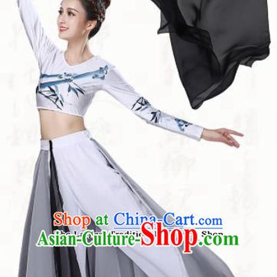 Chinese Traditional Classical Dance Grey Dress Ancient Group Dance Costumes for Women