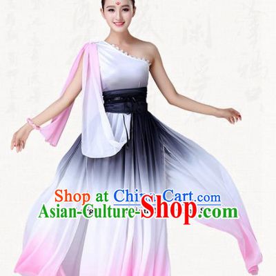 Chinese Traditional Classical Dance Clothing Group Dance Costumes for Women