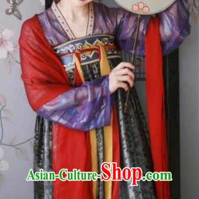 Traditional China Ancient Tang Dynasty Palace Princess Embroidered Costumes for Women