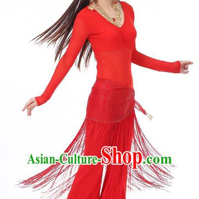 Asian Indian Belly Dance Red Costume Stage Performance India Raks Sharki Dress for Women