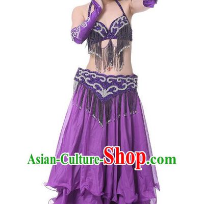Indian Belly Dance Purple Costume India Raks Sharki Dress Oriental Dance Clothing for Women