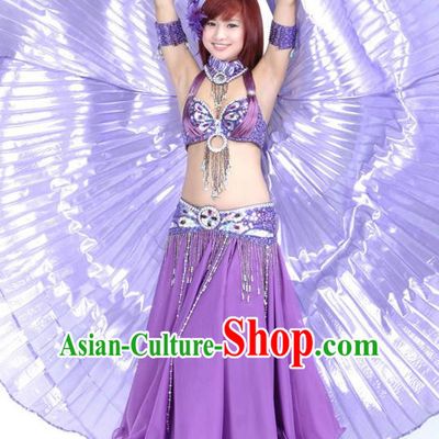 Indian Bollywood Belly Dance Purple Dress Clothing Asian India Oriental Dance Costume for Women