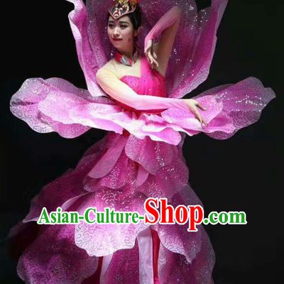 Chinese Classical Flower Dance Costume Dancing Costumes and Headpieces Complete Set for Women