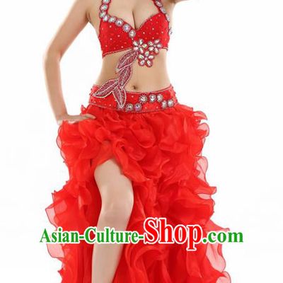 Indian National Belly Dance Red Dress India Bollywood Oriental Dance Costume for Women