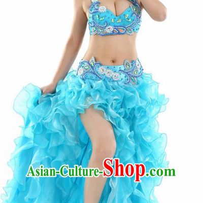 Indian National Belly Dance Blue Dress India Bollywood Oriental Dance Costume for Women