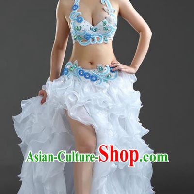 Indian National Belly Dance Dress India Bollywood Oriental Dance Costume for Women