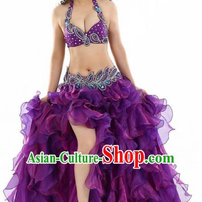Indian National Belly Dance Purple Sexy Dress India Bollywood Oriental Dance Costume for Women