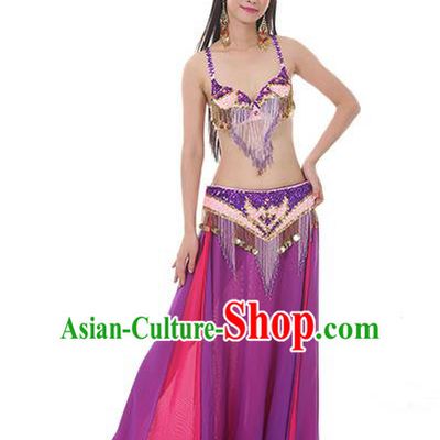 Indian National Belly Dance Clothing India Oriental Dance Sexy Purple Dress for Women