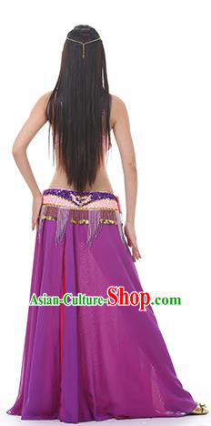 Traditional Asian Indian Belly Dance Costume Stage Performance India National Dance Dress Accessories Belts for Women Traditional Asian Indian Belly Dance Costume Stage Performance India National Dance Dress Accessories Belts for Women