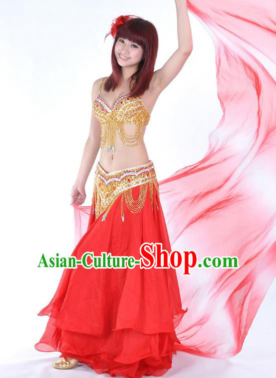Traditional Asian Indian Belly Dance Costume Stage Performance India National Dance Dress Accessories Belts for Women Traditional Asian Indian Belly Dance Costume Stage Performance India National Dance Dress Accessories Belts for Women