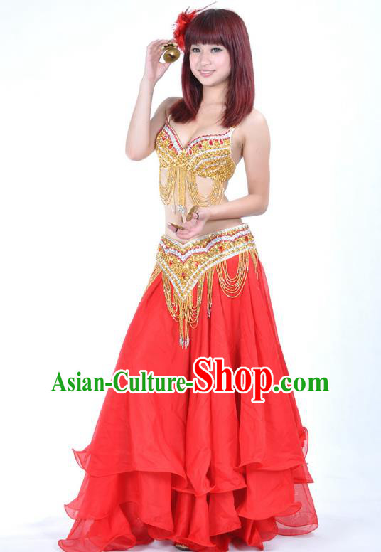 Traditional Asian Indian Belly Dance Costume Stage Performance India National Dance Dress Accessories Belts for Women Traditional Asian Indian Belly Dance Costume Stage Performance India National Dance Dress Accessories Belts for Women