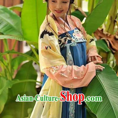 Traditional Chinese Tang Dynasty Palace Lady Dress Ancient Princess Embroidered Costume for Women
