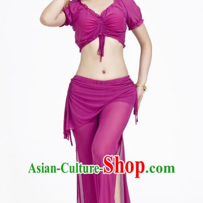 Indian Traditional Belly Dance Purple Costume India Oriental Dance Clothing for Women