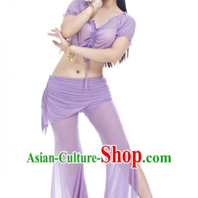 Indian Traditional Belly Dance Lilac Costume India Oriental Dance Clothing for Women