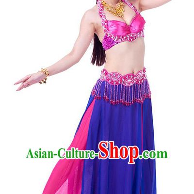 Traditional Indian Belly Dance Blue and Rosy Dress India Oriental Dance Clothing for Women