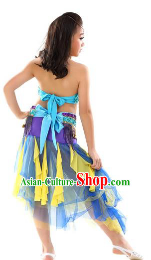 Traditional Asian Indian Belly Dance Costume Stage Performance India National Dance Dress Accessories Belts for Women Traditional Asian Indian Belly Dance Costume Stage Performance India National Dance Dress Accessories Belts for Women