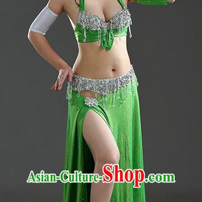 Traditional Egypt Dance Green Dress India Oriental Belly Dance Costume for Women