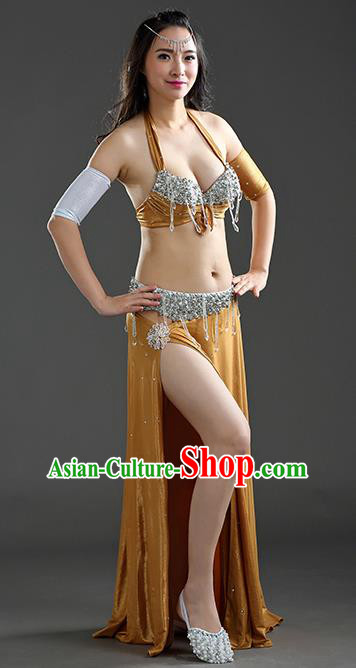 Traditional Asian Indian Belly Dance Costume Stage Performance India National Dance Dress Accessories Belts for Women Traditional Asian Indian Belly Dance Costume Stage Performance India National Dance Dress Accessories Belts for Women
