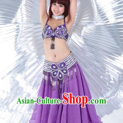 Indian Belly Dance Stage Performance Costume, India Oriental Dance Purple Dress for Women