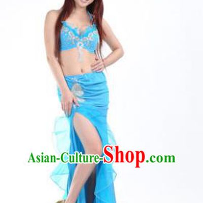 Traditional Indian Stage Oriental Dance Blue Dress Belly Dance Costume for Women