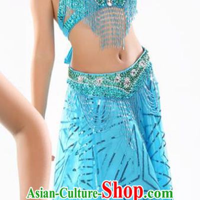 Traditional Indian Children Oriental Dance Blue Dress Belly Dance Costume for Kids