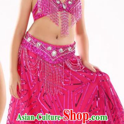 Traditional Indian Children Oriental Dance Rosy Dress Belly Dance Costume for Kids
