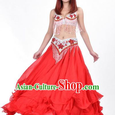 Indian Traditional Costume Red Dress Oriental Dance Belly Dance Stage Performance Clothing for Women
