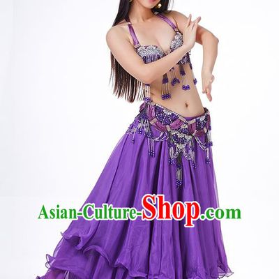 Indian Belly Dance Performance Costume Traditional India Oriental Dance Purple Dress for Women