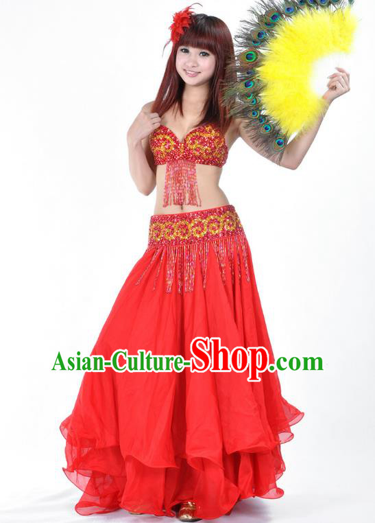 Traditional Asian Indian Belly Dance Costume Stage Performance India National Dance Dress Accessories Belts for Women Traditional Asian Indian Belly Dance Costume Stage Performance India National Dance Dress Accessories Belts for Women