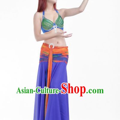 Indian Traditional Belly Dance Costume Classical Oriental Dance Purple Dress for Women