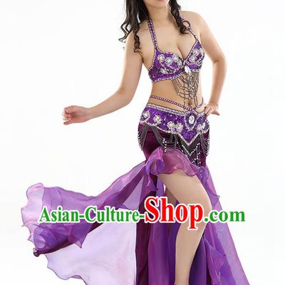 Top Indian Belly Dance India Traditional Raks Sharki Purple Dress Oriental Dance Costume for Women