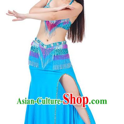 Egypt Belly Dance Blue Dress India Raks Sharki Oriental Dance Clothing for Women