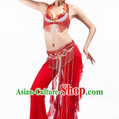 Top Grade Belly Dance Red Uniform Indian Raks Sharki Oriental Dance Clothing for Women