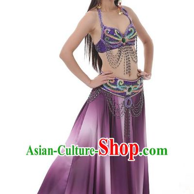Traditional Bollywood Belly Dance Sexy Purple Dress Indian Oriental Dance Costume for Women